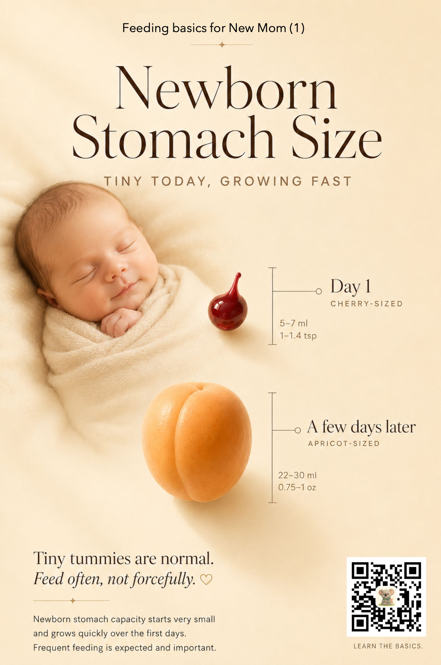 An illustrated chart comparing a newborn's day-one stomach (cherry-sized, 5-7 ml) to a few-days-later stomach (apricot-sized, 22-30 ml), beside a swaddled sleeping baby.