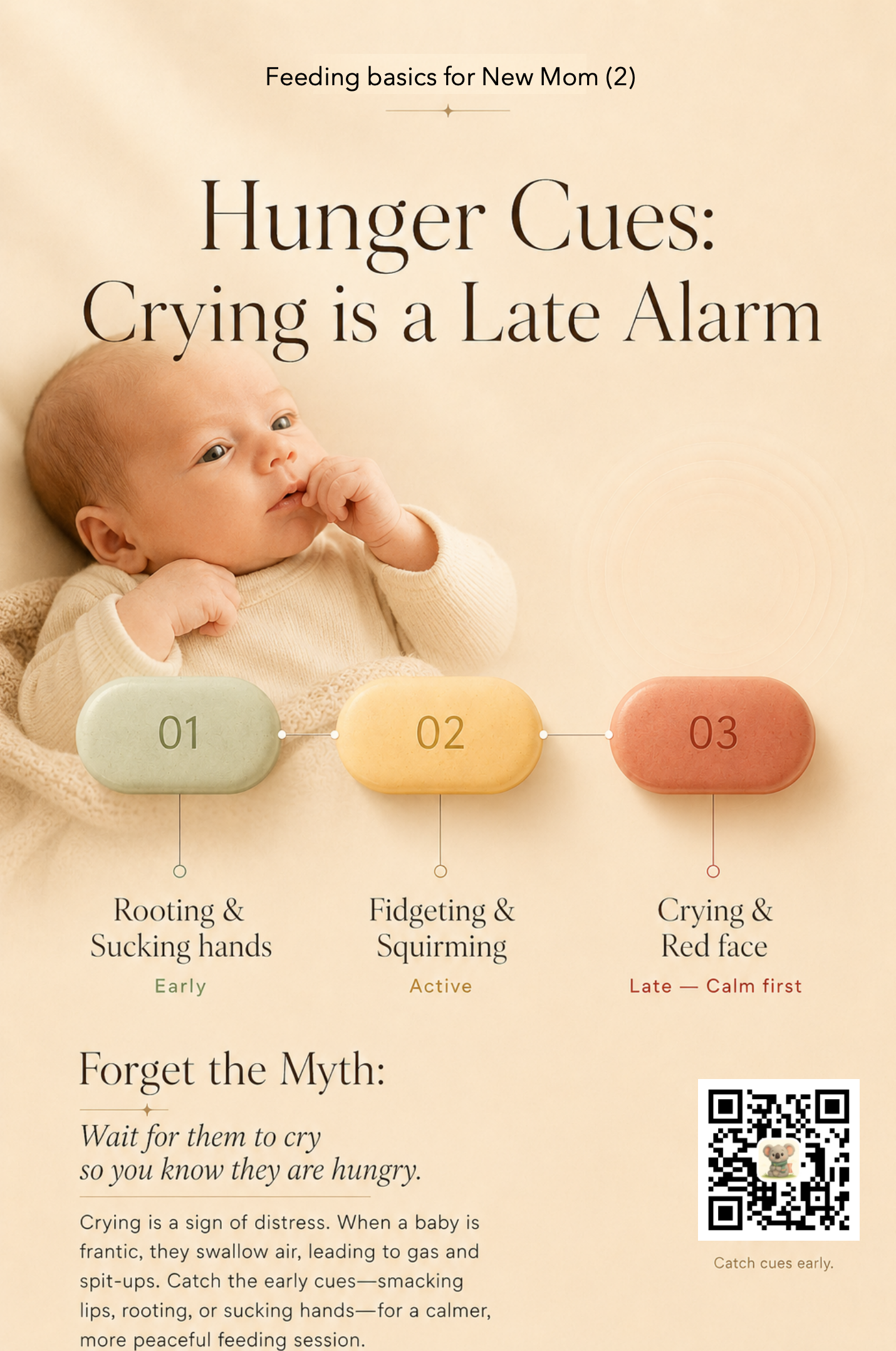 Three numbered capsules in green, amber, and red, marking the three stages of hunger cues: Rooting and sucking hands (Early), Fidgeting and squirming (Active), Crying and red face (Late).