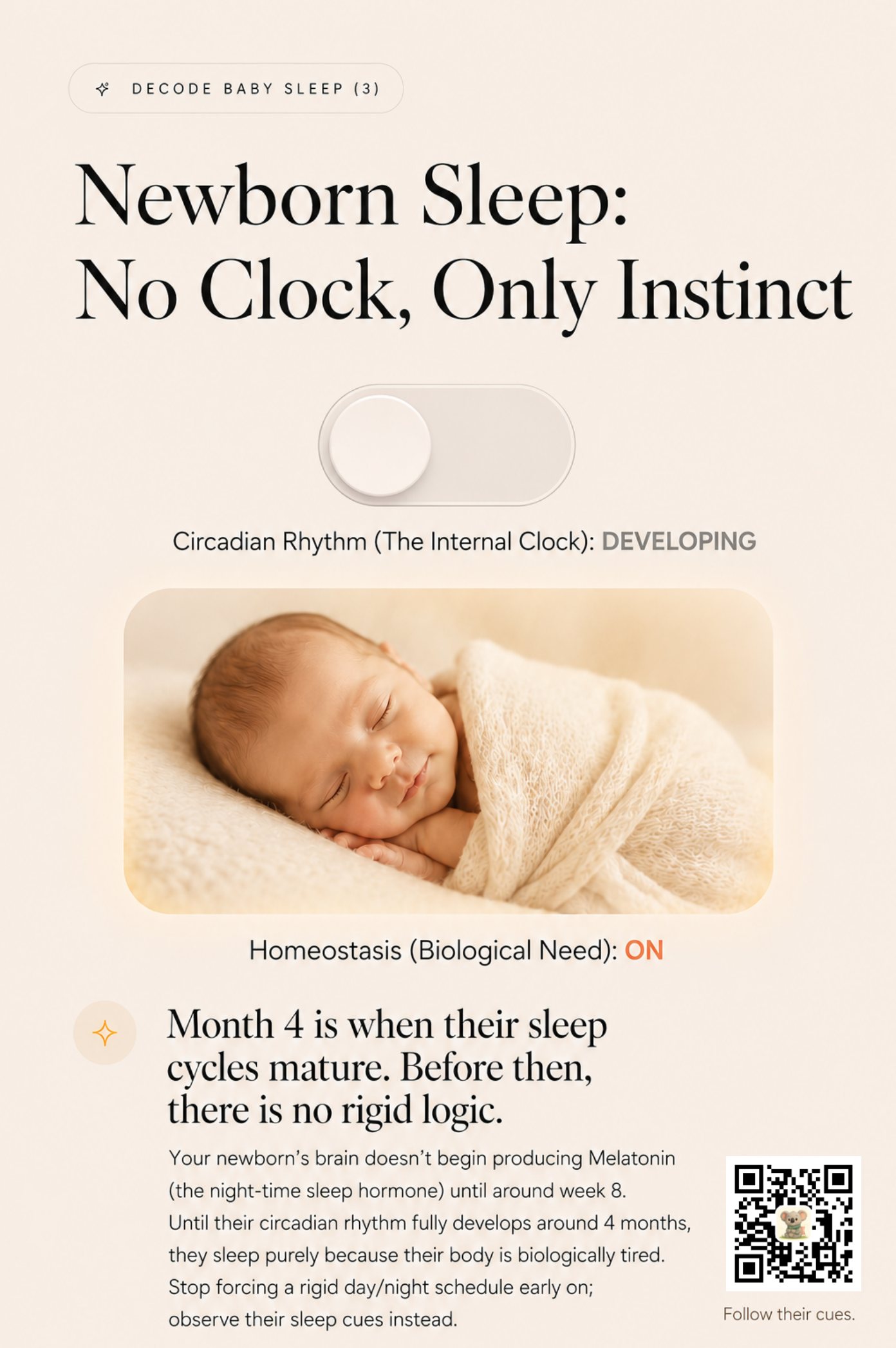 A peaceful newborn swaddled in cream, beneath a glowing label that reads 